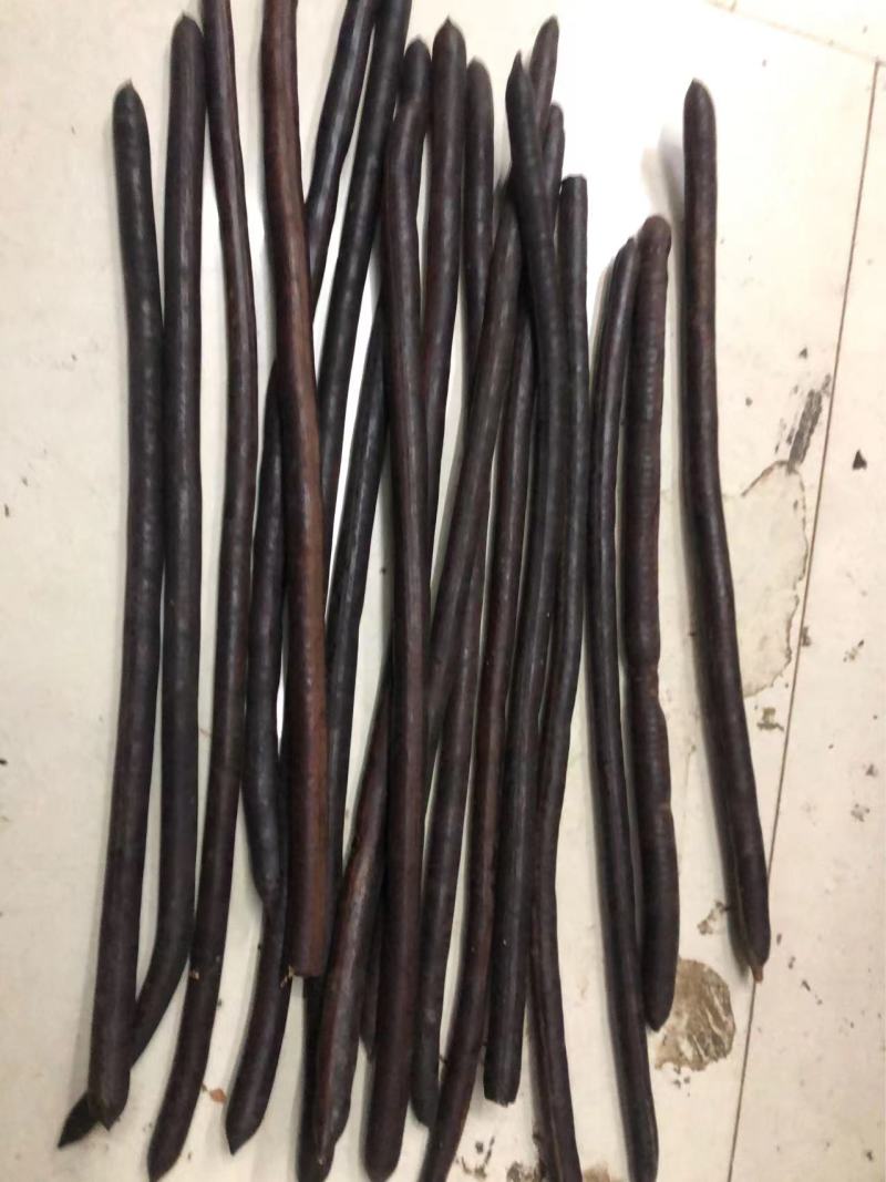 腊肠果便秘果大解果无虫便秘果整根便秘果
