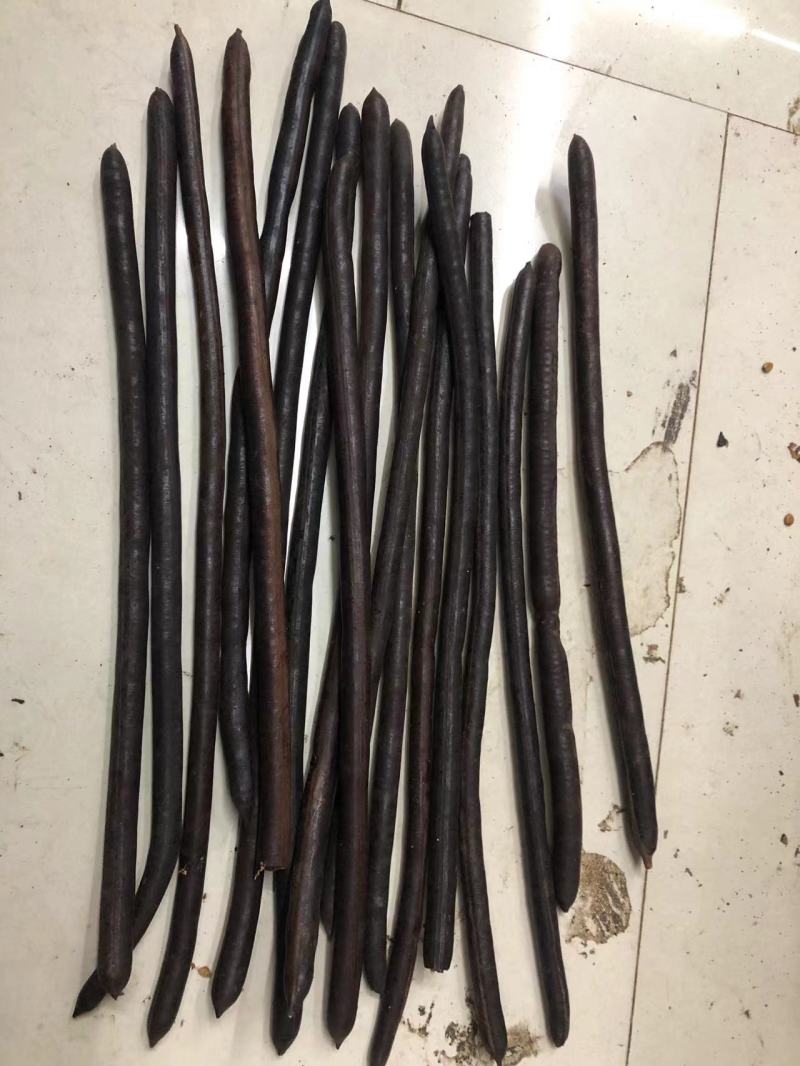 腊肠果便秘果大解果无虫便秘果整根便秘果