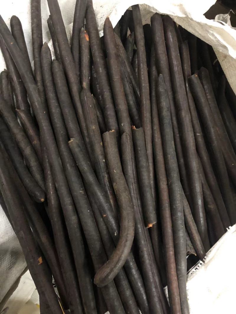 腊肠果便秘果大解果无虫便秘果整根便秘果