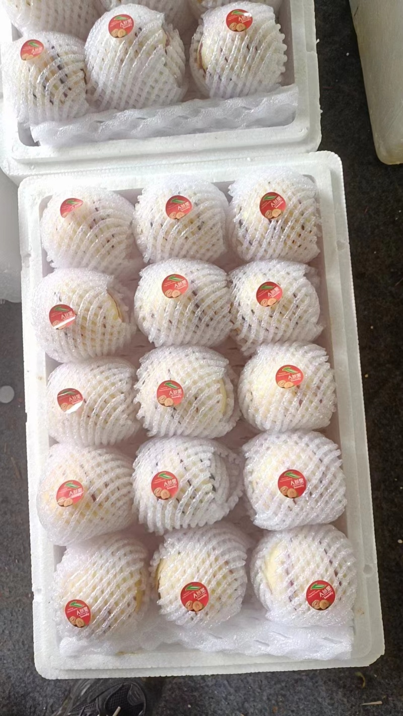 人参果