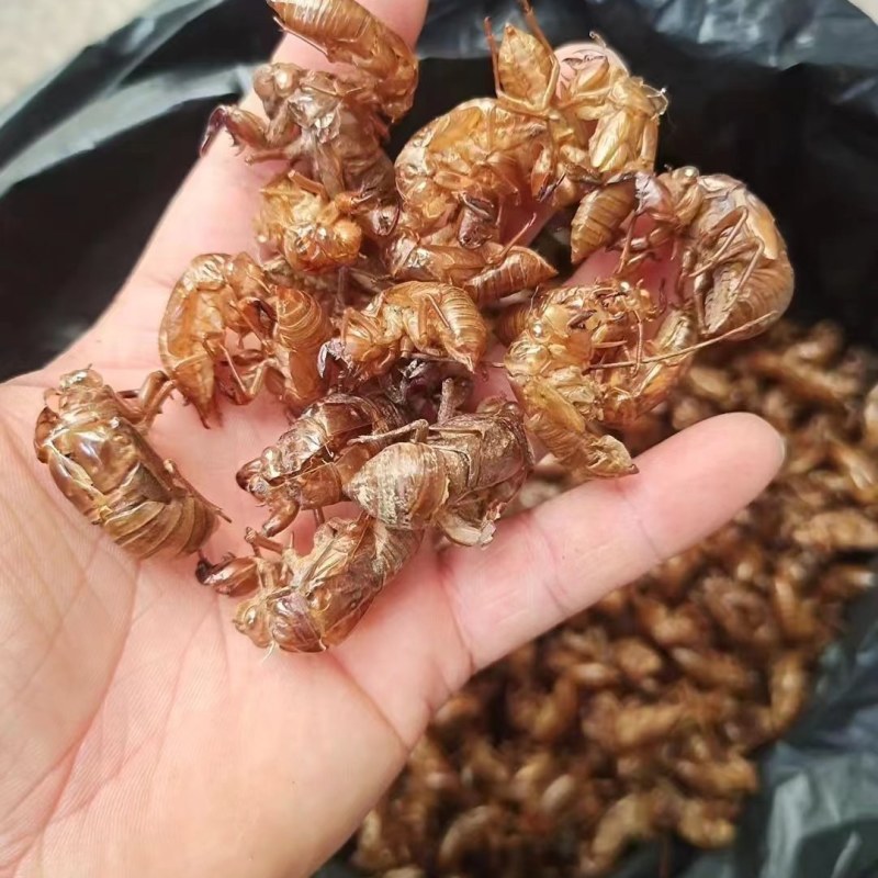 已经产新欢迎下单
