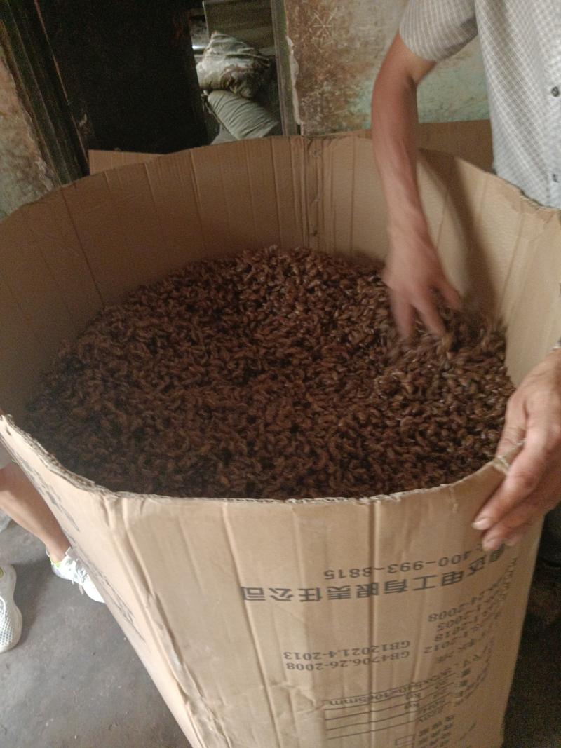 已经产新欢迎下单