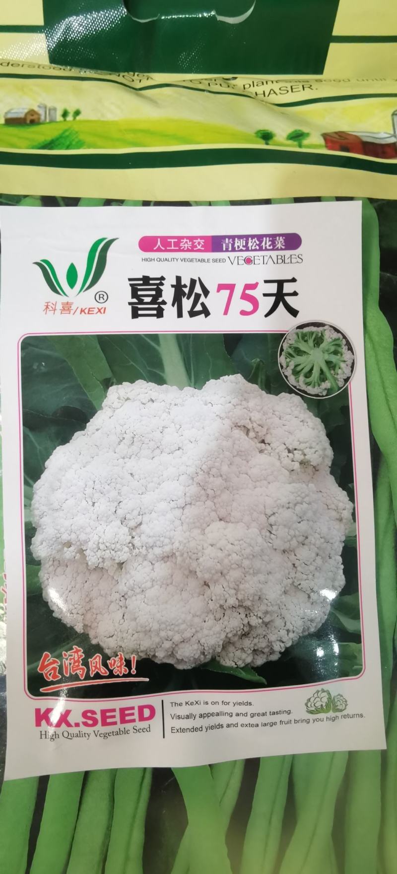 花菜种子佳松75中早熟青梗松花菜杂交一代花球洁白脆嫩