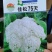 花菜种子佳松75中早熟青梗松花菜杂交一代花球洁白脆嫩