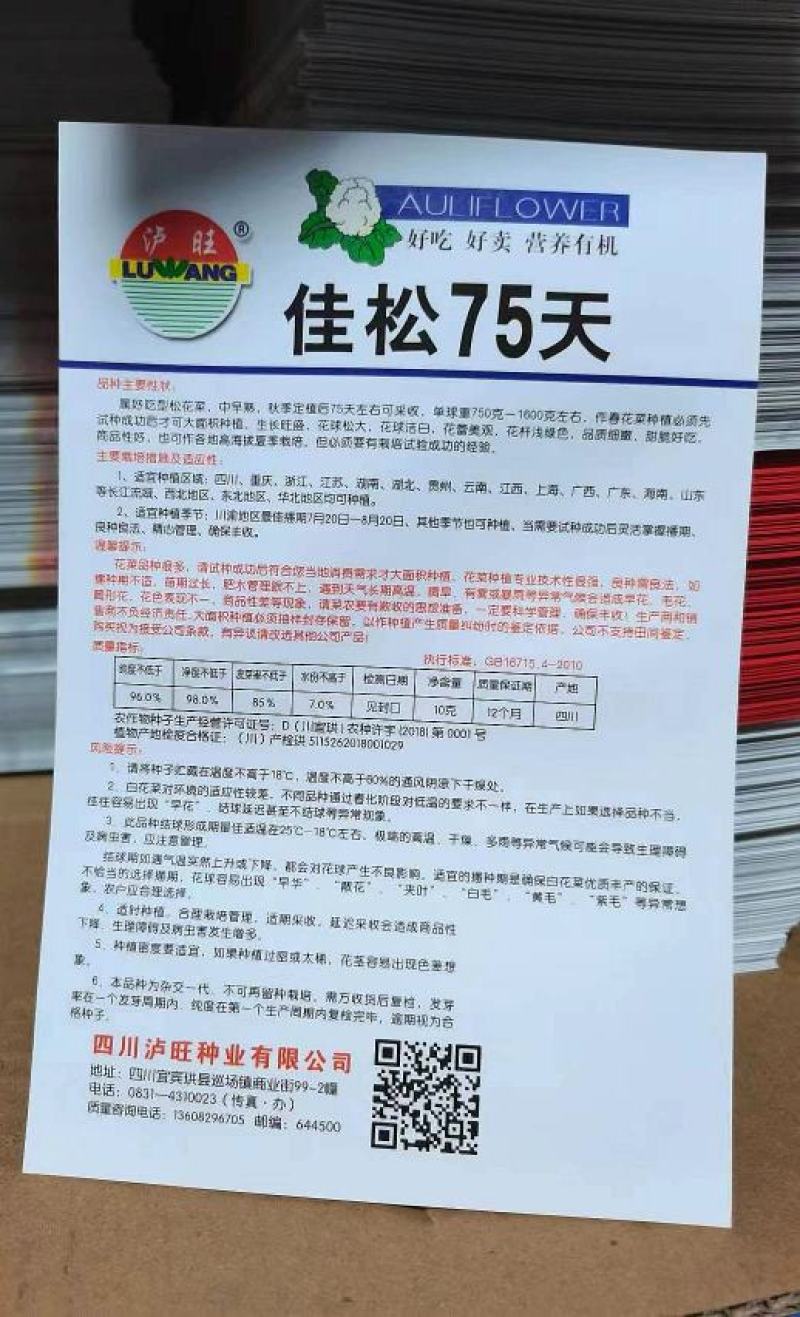 花菜种子佳松75中早熟青梗松花菜杂交一代花球洁白脆嫩