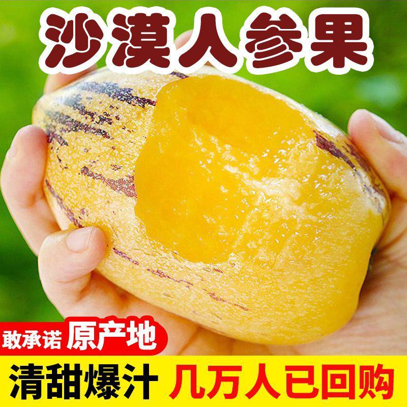【甘肃人参果】沙漠民勤人参果新鲜水果应季黄心人参果包邮
