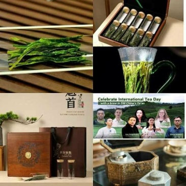 非遗手工茶，特级太平猴魁（一带一路一杯茶）