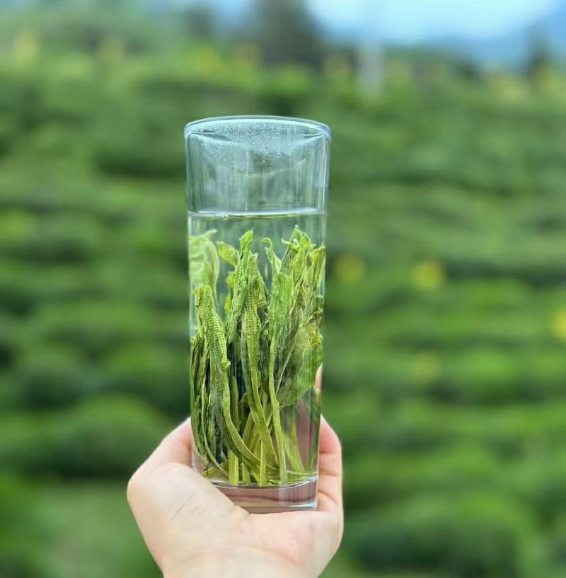 非遗手工茶，特级太平猴魁（一带一路一杯茶）