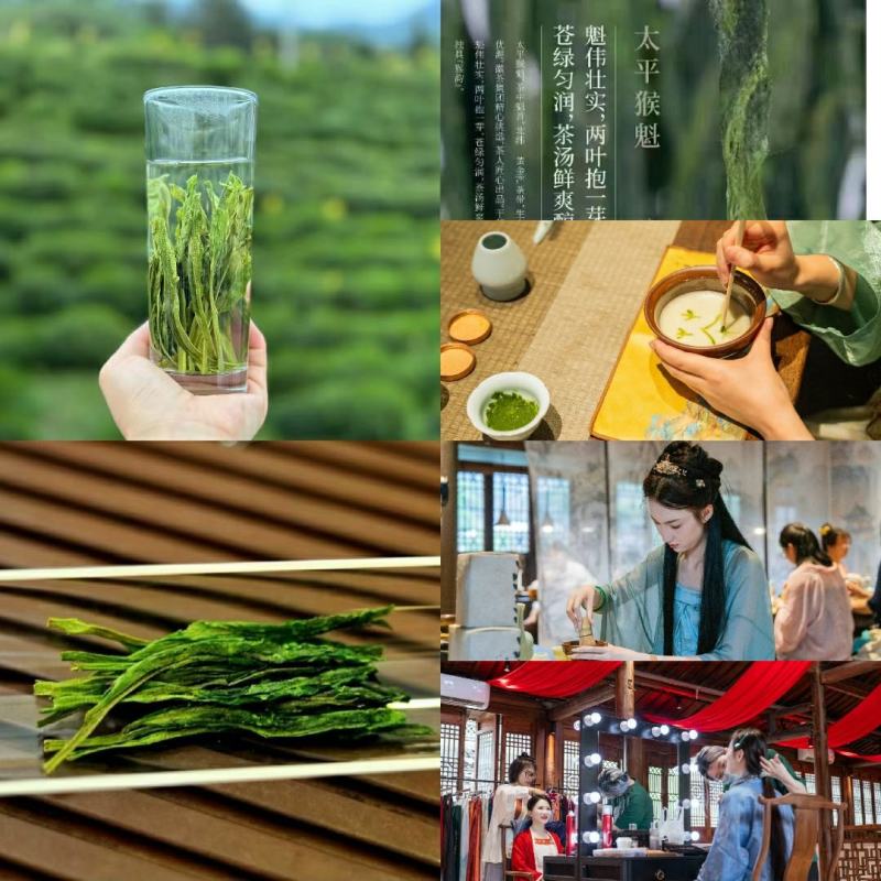 非遗手工茶，特级太平猴魁（一带一路一杯茶）