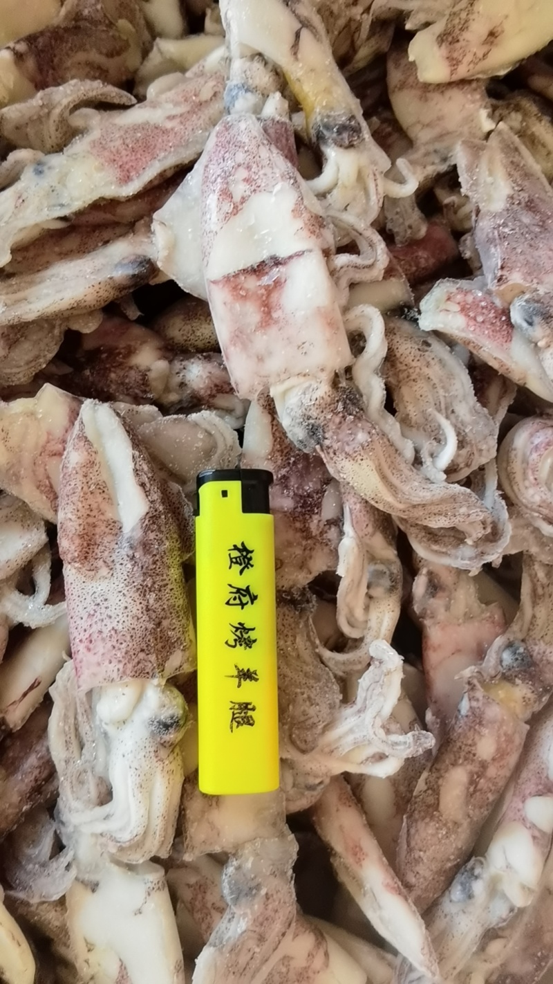 海兔，东港本地海兔，单冻免洗，百分之10包冰现货