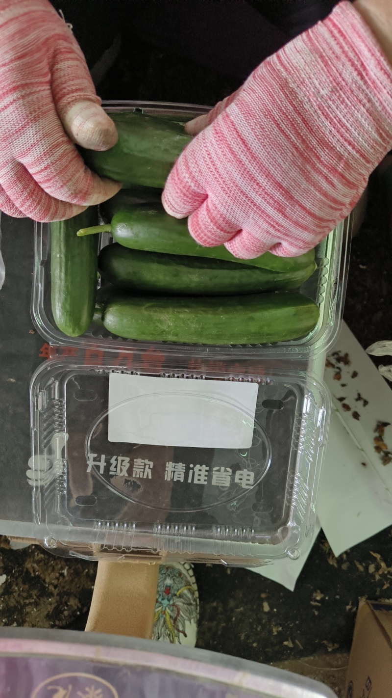 商超精品水果黄瓜