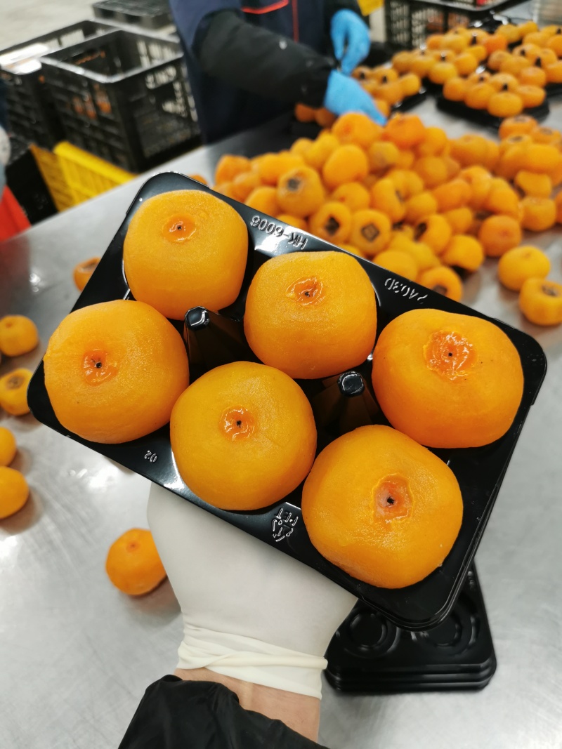 冰柿饼冰淇淋柿饼冰柿半干柿饼广西平乐恭城柿饼源头加工厂