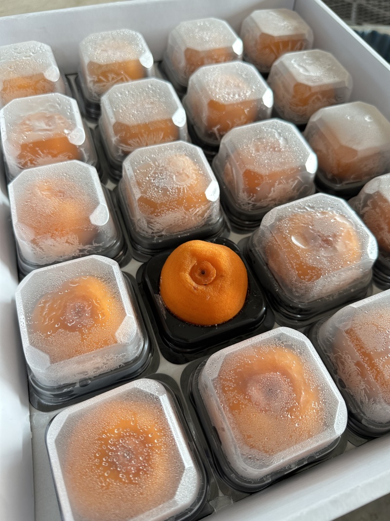 冰柿饼冰淇淋柿饼冰柿半干柿饼广西平乐恭城柿饼源头加工厂