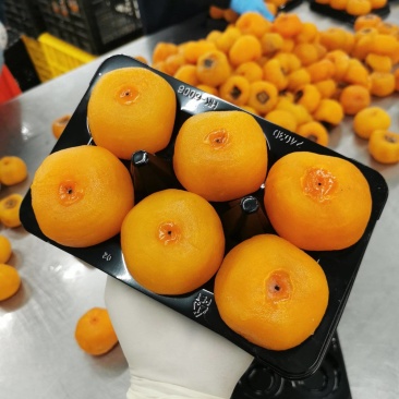 冰柿饼冰淇淋柿饼冰柿半干柿饼广西平乐恭城柿饼源头加工厂