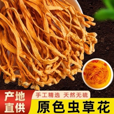 虫草花干货批发装金虫草餐饮食材净重2000克