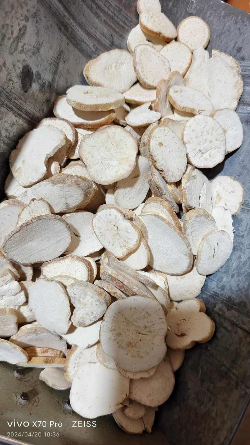 天花粉河北产地直销各种规格量大从优欢迎选购