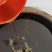 精选正宗湖南常德本地菜籽油全国发货保质保量