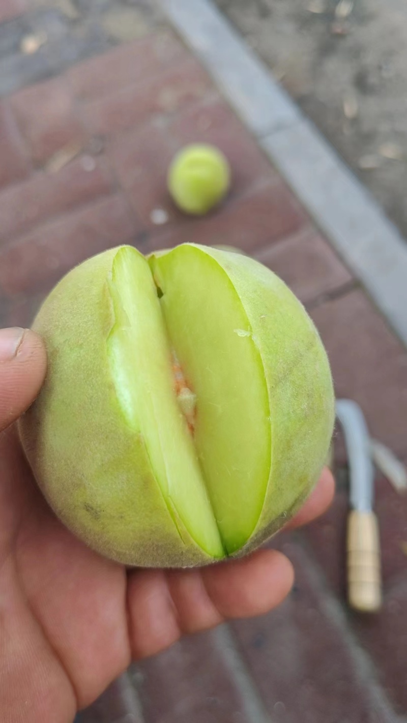 加工果，代收代销代采