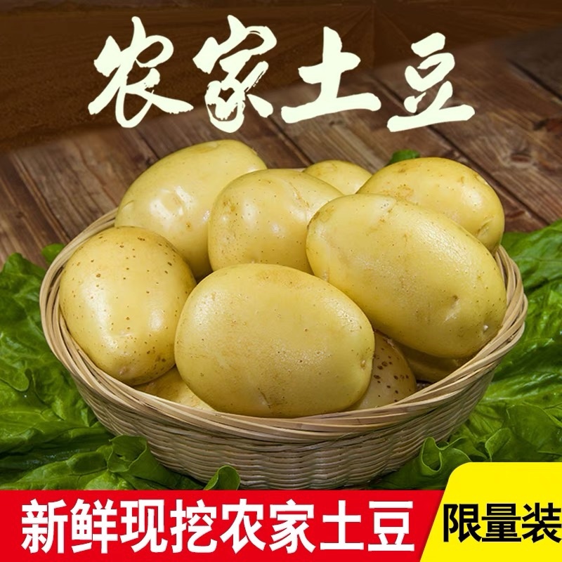 山东黄心土豆需要的联系