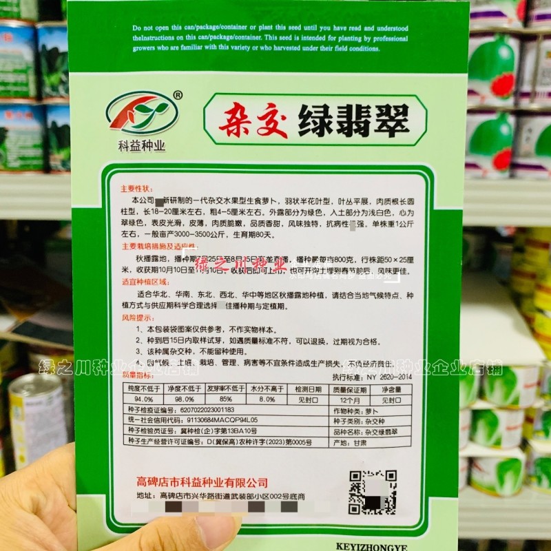 杂交绿翡翠水果萝卜种子一代杂交水果型萝卜种籽生吃脆甜皮薄