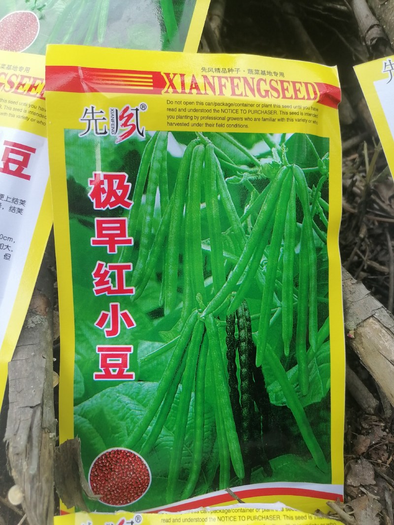 珍珠粒红小豆农家自种皮薄易煮口感好营养丰富