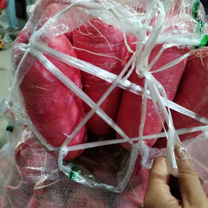 精品红萝卜产地直发品质保证量大从优一手货源欢迎联系