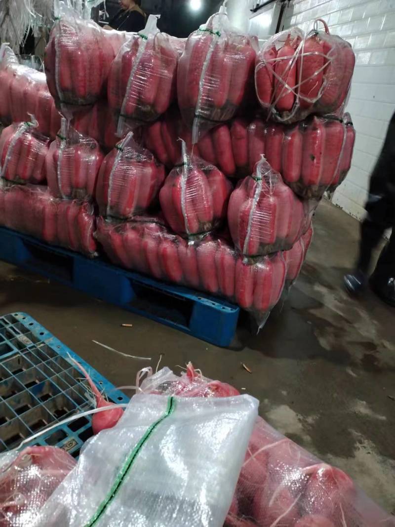 精品红萝卜产地直发品质保证量大从优一手货源欢迎联系