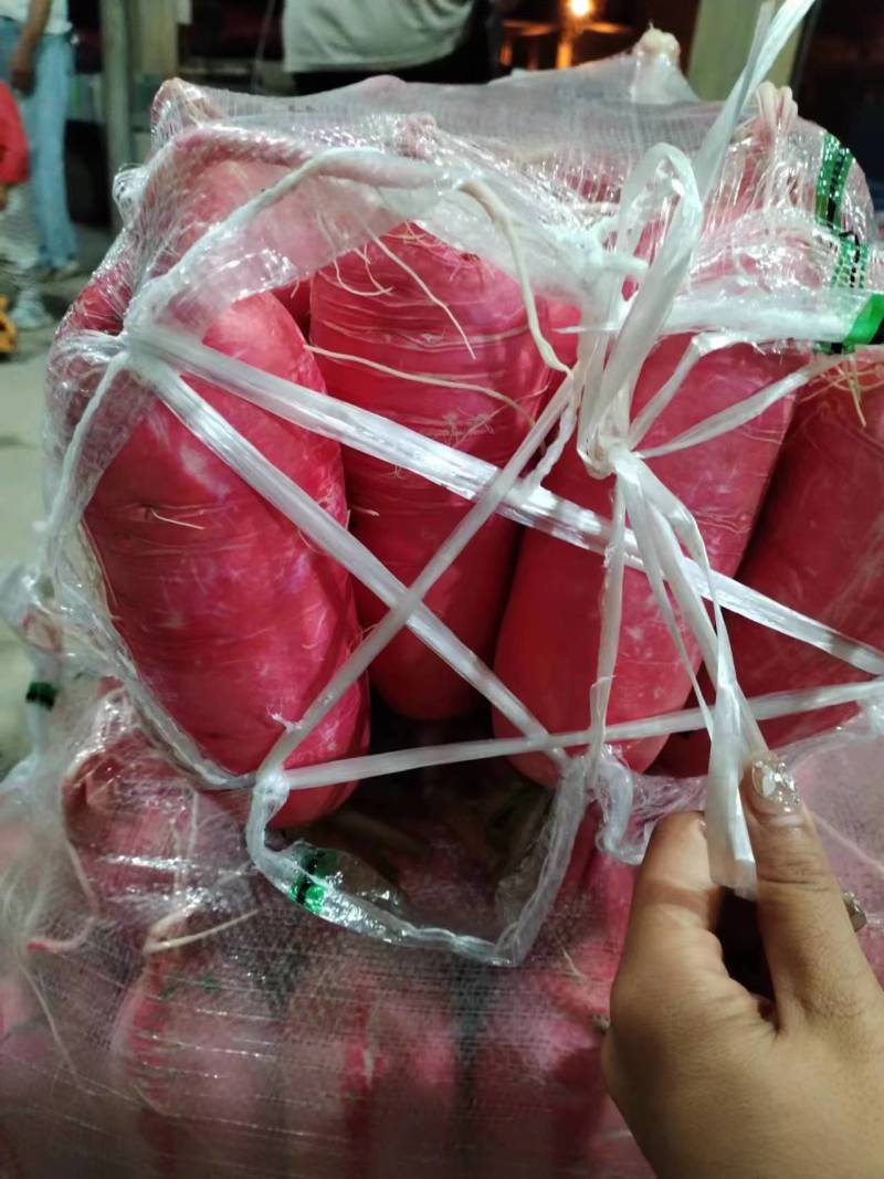 精品红萝卜产地直发品质保证量大从优一手货源欢迎联系