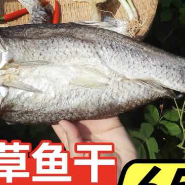 鱼干干鱼草鱼干地摊电商批发开边草鱼干干草鱼