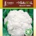 花菜种子川塔松80天中熟青梗小米松花花球雪白品质好