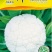 花菜种子川塔松80天中熟青梗小米松花花球雪白品质好
