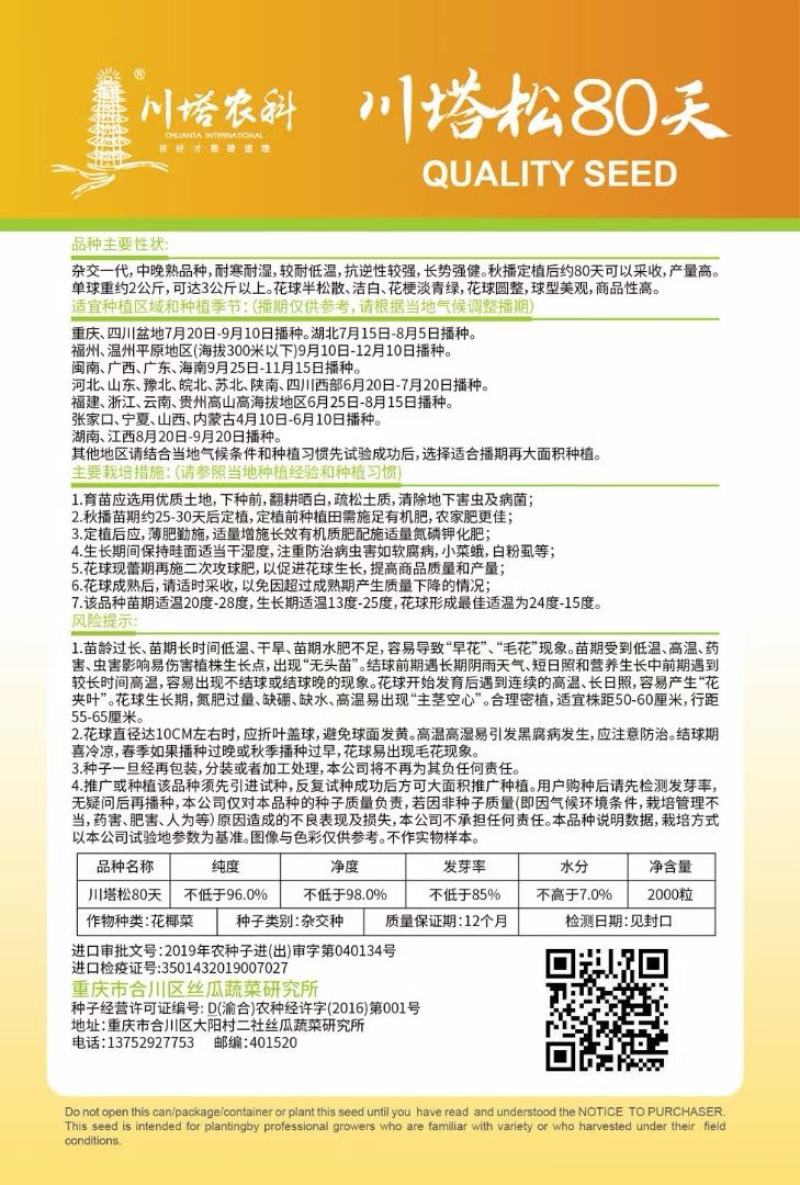 花菜种子川塔松80天中熟青梗小米松花花球雪白品质好