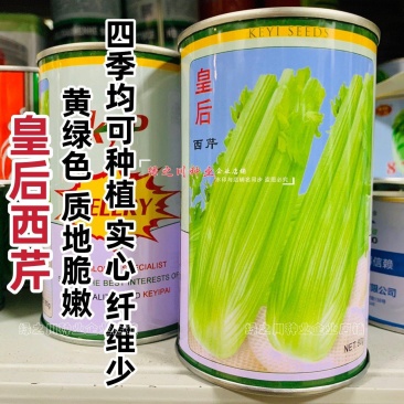 皇后芹菜种籽四季皇后西芹种子脆嫩实心芹种籽耐寒耐热