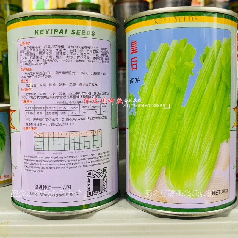 皇后芹菜种籽四季皇后西芹种子脆嫩实心芹种籽耐寒耐热