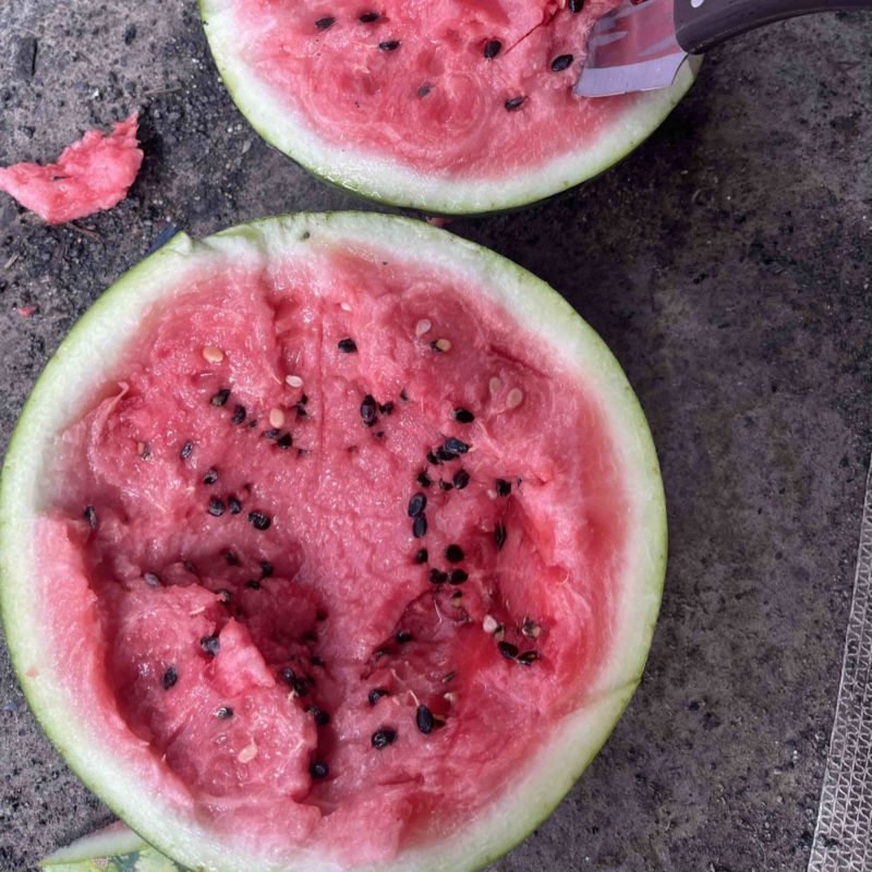 有籽麒麟西瓜🍉皮薄、红瓤黑籽、口感甜、产地直销代发全国