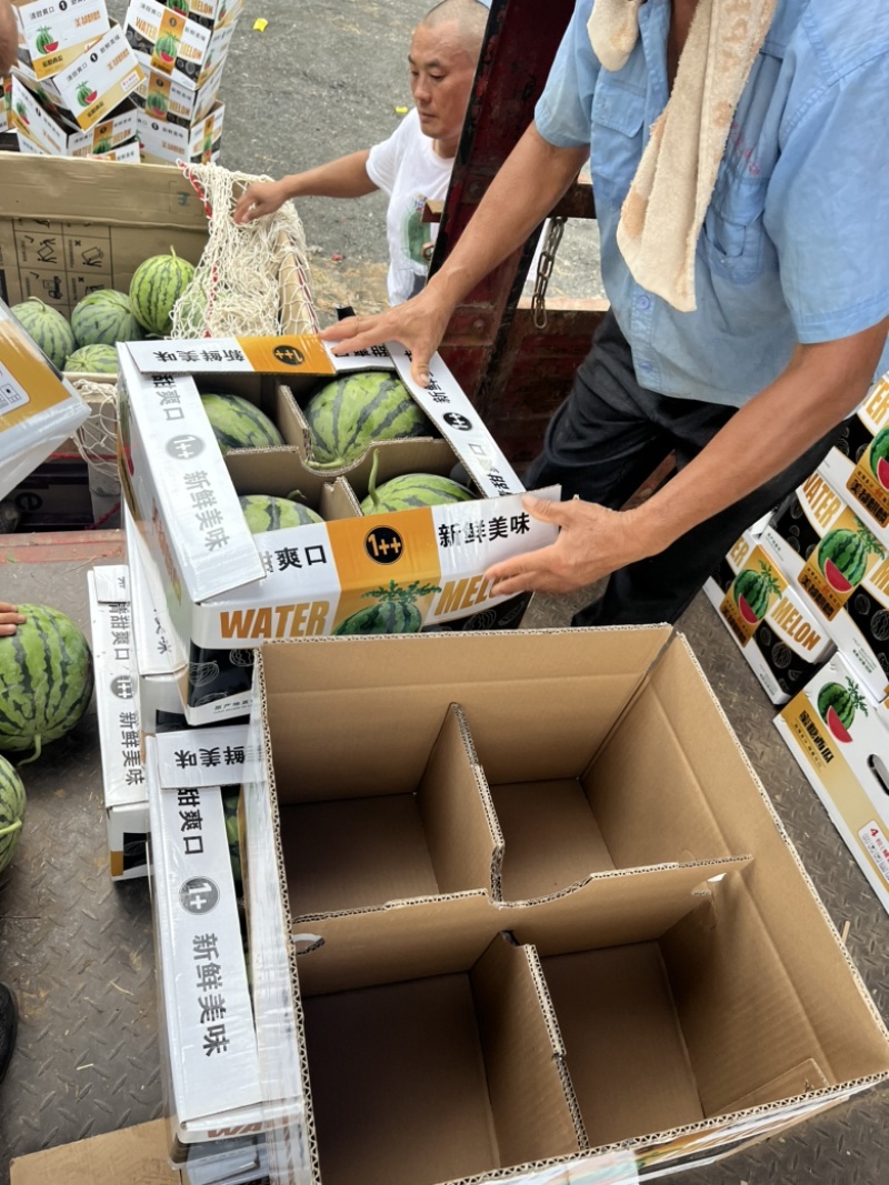 有籽麒麟西瓜🍉皮薄、红瓤黑籽、口感甜、产地直销代发全国