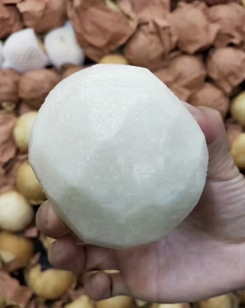 水晶梨