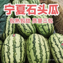 宁夏硒砂瓜石头瓜金城5西瓜品质保证原产地对接批发