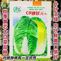 CR秋状元秋季高品质黄芯大白菜种子口感好内叶鲜黄白菜种籽