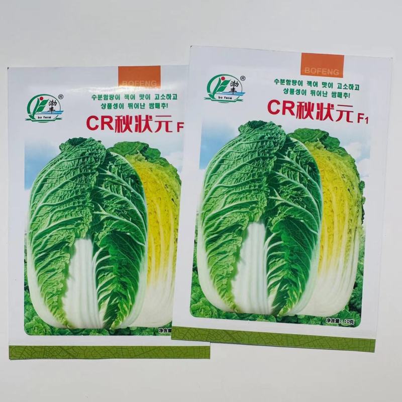 CR秋状元秋季高品质黄芯大白菜种子口感好内叶鲜黄白菜种籽