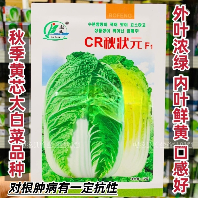 CR秋状元秋季高品质黄芯大白菜种子口感好内叶鲜黄白菜种籽