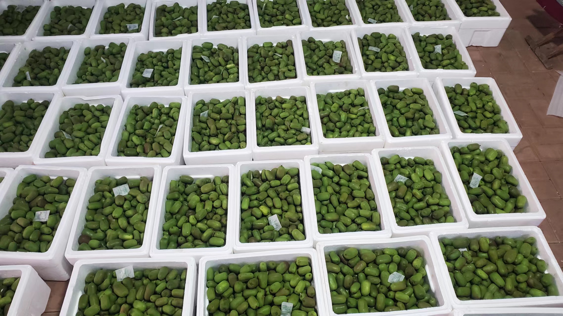 超市水果货架上摆放整齐的早红不软桃,顾客正在挑选购买 早红不软桃在市场销售场景