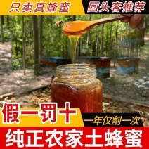 【假一赔十】正宗野生土蜂蜜原生态纯正农家自产深山木桶百花