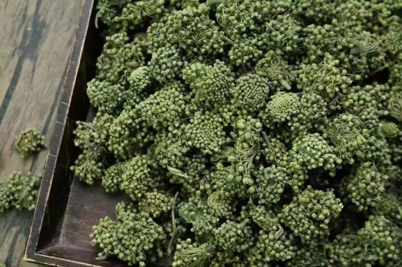 两年三七花三年三七花文山三七