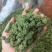 两年三七花三年三七花文山三七