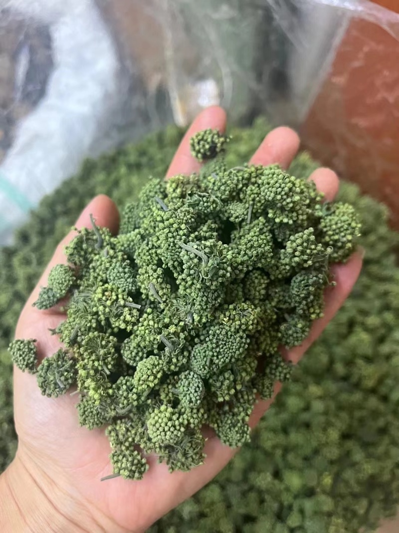 两年三七花三年三七花文山三七
