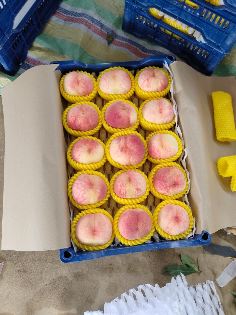 绿化九水蜜桃含糖量高产地一手货源市场精品连锁商超供应电商