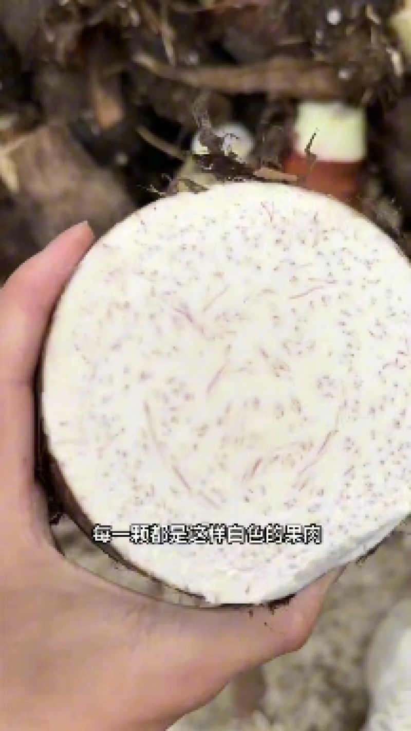 正宗广西新鲜大芋头香芋软糯槟榔芋粉糯整箱批发零售