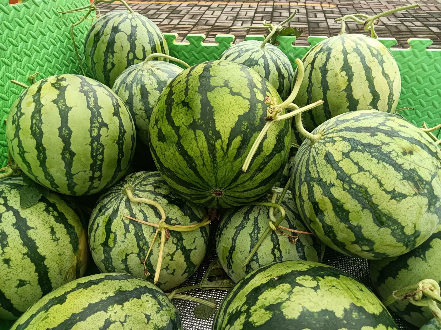 麒麟西瓜外观细节