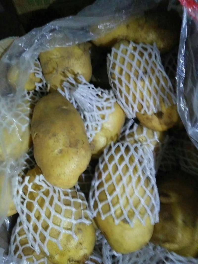 2两通天3两通天常年有货